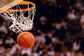 开云官网APP下载-塞内加尔马术协会举办国际马术科技大会，推动行业技术交流与合作。